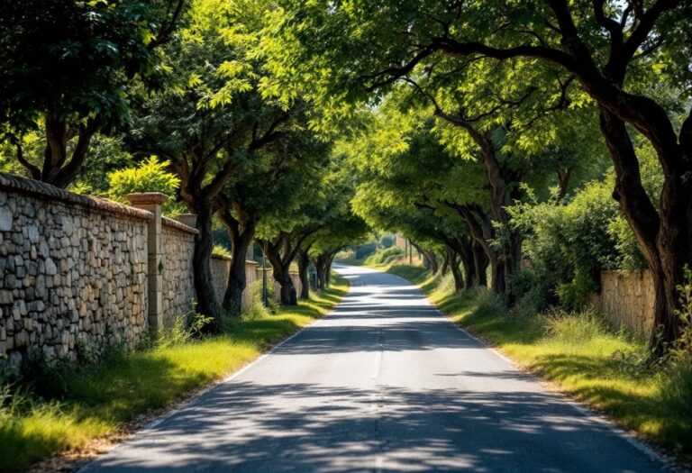 Panorama di una delle strade più belle d'Italia