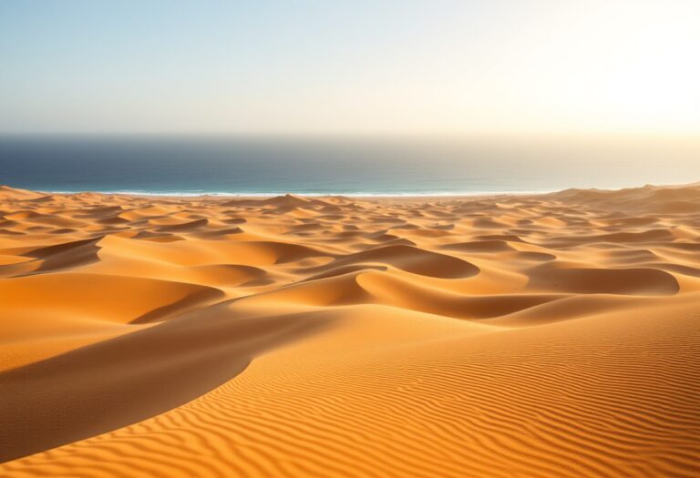 Paesaggio del deserto in Mauritania con elementi culturali